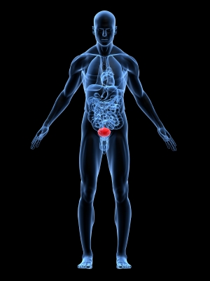 urology billing